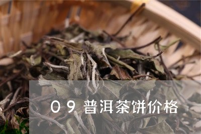 09普洱茶饼价格/2023041305057