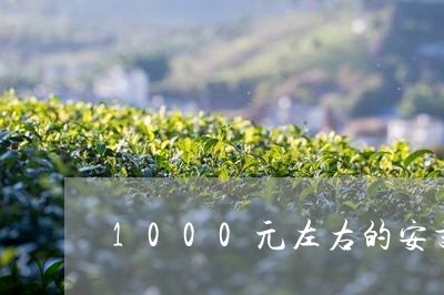 1000元左右的安吉白茶/2023033185452