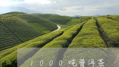 1000吨普洱茶/2023041094128