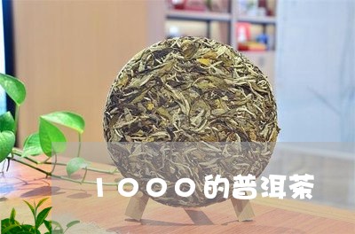 1000的普洱茶/2023041063818