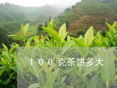 100克茶饼多大/2023032455270