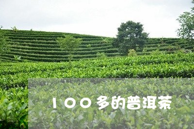 100多的普洱茶/2023041029315