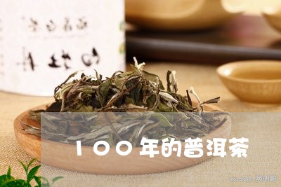 100年的普洱茶/2023031771793