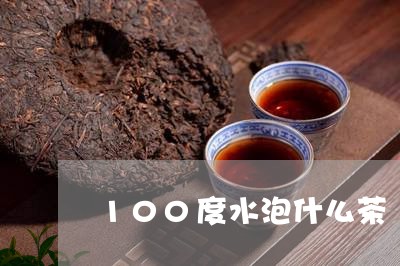 100度水泡什么茶/2023041556026