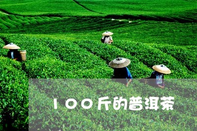 100斤的普洱茶/2023041314039