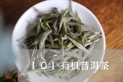 101有机普洱茶/2023041007371