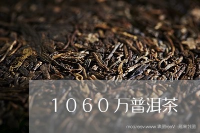 1060万普洱茶/2023041058271