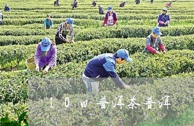 10w普洱茶普洱/2023041044049