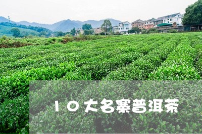 10大名寨普洱茶/2023033194037