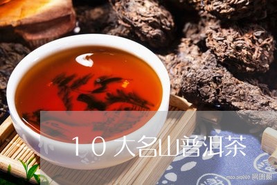 10大名山普洱茶/2023040124047