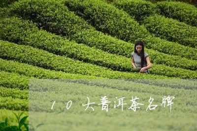 10大普洱茶名牌/2023031795137