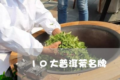 10大普洱茶名牌/2023041268471