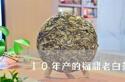 10年产的福鼎老白茶价格/2023033043815