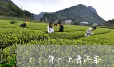 10年以上普洱茶/2023041358370