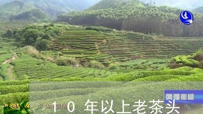 10年以上老茶头/2023032444914