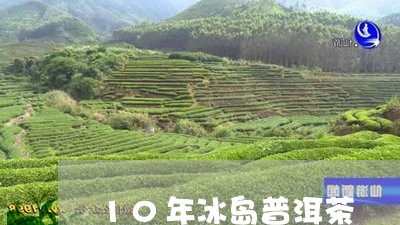 10年冰岛普洱茶/2023041285058