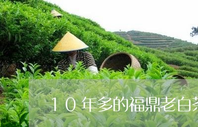 10年多的福鼎老白茶好吗/2023033075050