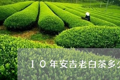 10年安吉老白茶多少一斤/2023033058482