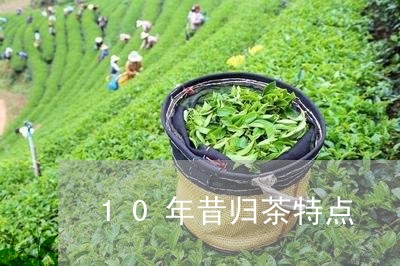 10年昔归茶特点/2023032602816