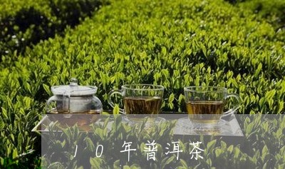 10年普洱茶/2023031757179