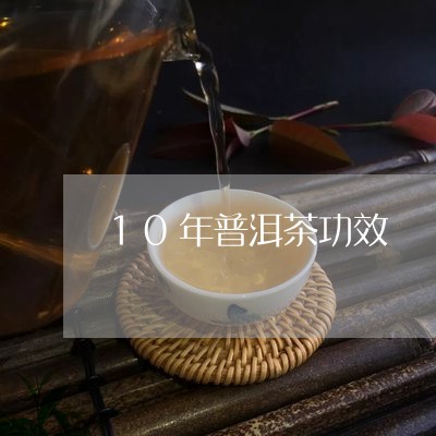 10年普洱茶功效/2023031705027