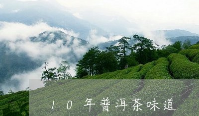 10年普洱茶味道/2023041239490