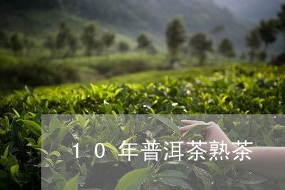 10年普洱茶熟茶/2023031748591