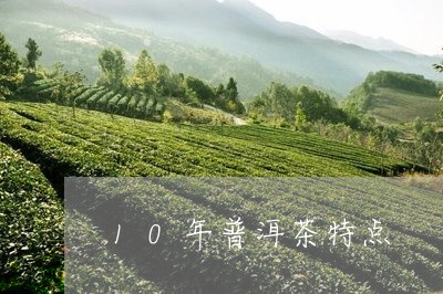 10年普洱茶特点/2023041092957