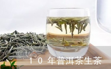 10年普洱茶生茶/2023041209303