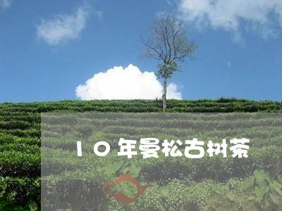 10年曼松古树茶/2023032228581