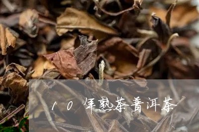 10年熟茶普洱茶/2023041184936