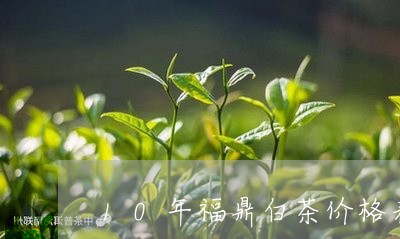 10年福鼎白茶价格表大全/2023033025406