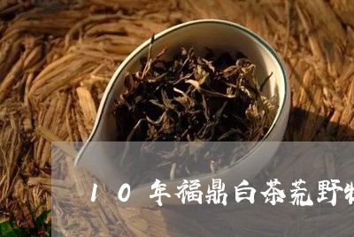 10年福鼎白茶荒野牡丹王/2023033030481