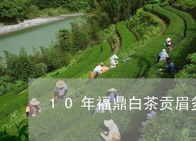 10年福鼎白茶贡眉多少钱/2023033040604