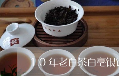 10年老白茶白毫银针茶饼/2023033035027