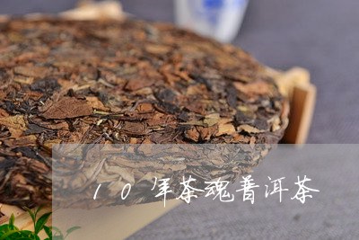 10年茶魂普洱茶/2023041162794