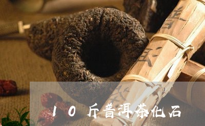 10斤普洱茶化石/2023031716383