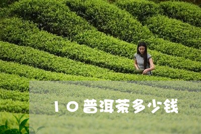 10普洱茶多少钱/2023041340394