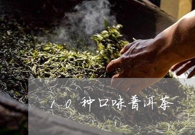 10种口味普洱茶/2023041055159