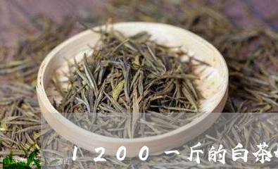 1200一斤的白茶好不好/2023033100582