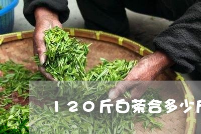 120斤白茶合多少斤茶青/2023033051502