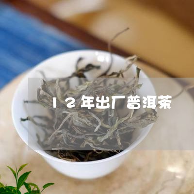 12年出厂普洱茶/2023033018370