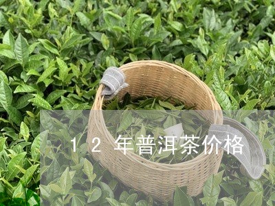 12年普洱茶价格/2023031754068