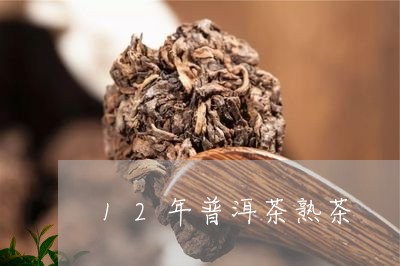 12年普洱茶熟茶/2023041188069