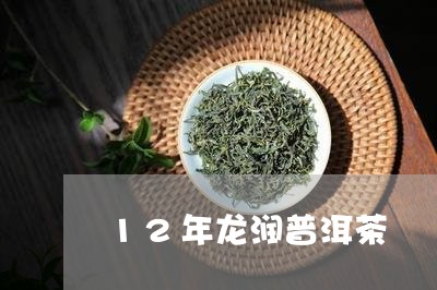 12年龙润普洱茶/2023031673838