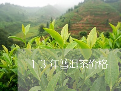 13年普洱茶价格/2023041395169