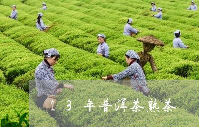 13年普洱茶熟茶/2023031616040