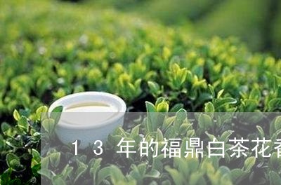 13年的福鼎白茶花香很足/2023033199691