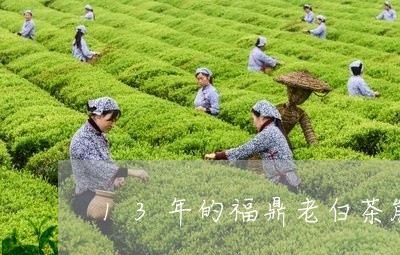 13年的福鼎老白茶能喝吗/2023033123045