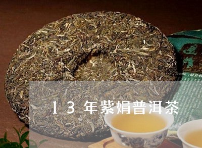 13年紫娟普洱茶/2023031655027